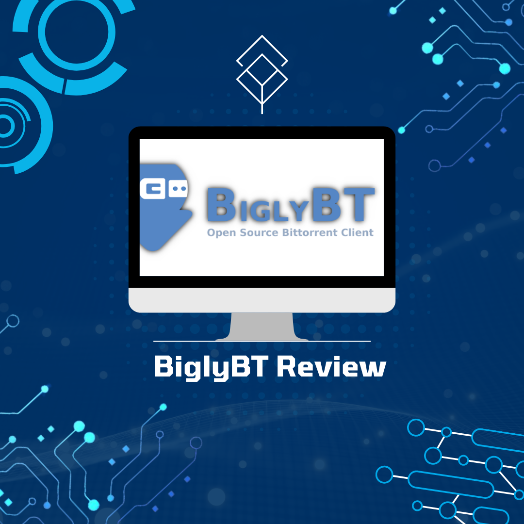 BiglyBT Review