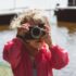 The Best 3 Cameras for Beginners 2022