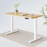 FlexiSpot EG1 Standing Desk Review