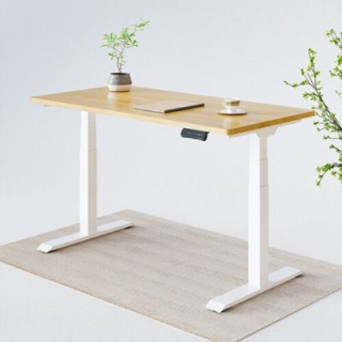 Flexispot EC1 