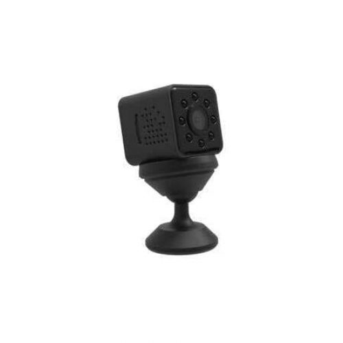 Fredi Mini